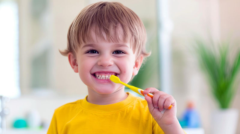 Frequently Asked Questions About Children's Teeth